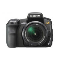 Sony DSLR-A200 (DSLR-A200K)